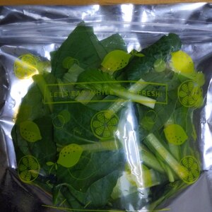 小松菜の冷凍保存方法